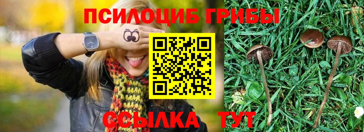 Дубна  наркота  Вход с VPN  Галлюциногенные грибы MAGIC MUSHROOMS 